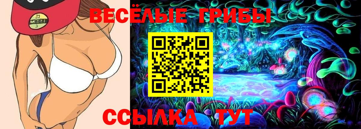 Галлюциногенные грибы Psilocybe Ялуторовск